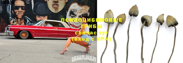 кокаин перу Заводоуковск