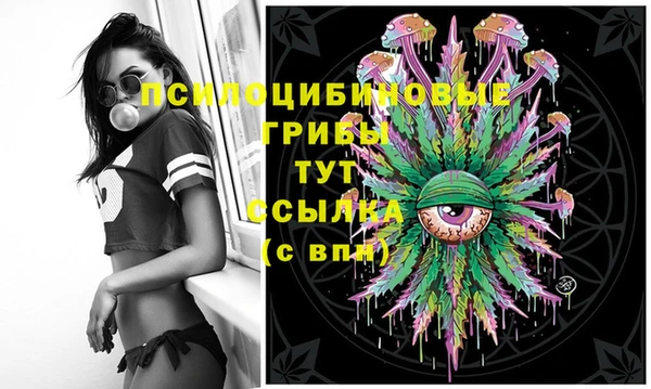 гидра Заволжск