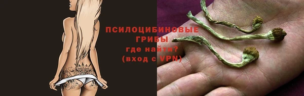 гидра Заволжск
